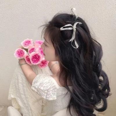 屋顶人海报